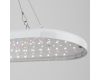 Подвесной светильник для растений Эра FITO-25W-QLED-FLY Б0053062
