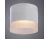 Потолочный светильник Arte Lamp Castor A5554PL-1WH
