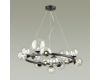 Подвесная люстра Odeon Light TOVI 4818/14