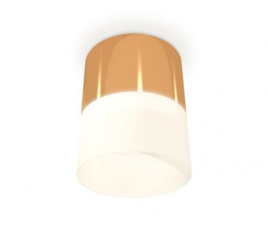 Купить Потолочный светильник Ambrella Light Techno Spot XS8121011 (C8121, N8402) Потолочный светильник Ambrella Light Techno Spot XS8121011 (C8121, N8402)