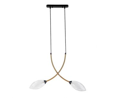 Купить Подвесной светильник Indigo Fiore 13001/2P Black V000140 Подвесной светильник Indigo Fiore 13001/2P Black V000140