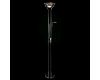 Торшер Arte Lamp Duetto A4329PN-2CC