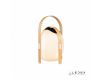 Настольная лампа iLedex Giggle OVS1100-CH WH