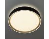 Потолочный светильник Citilux Boss CL751251G