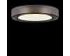 Потолочный светильник Freya Zoticus FR6005CL-L48G