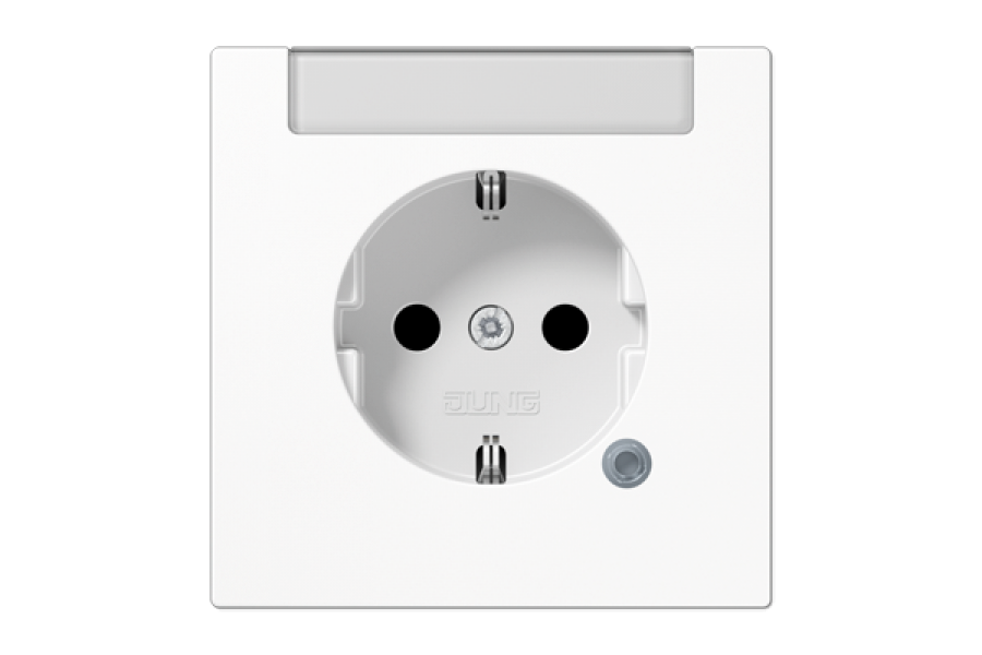 Розетка Schuko Jung LS1520INAKOWW