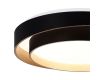 Потолочный светильник Evoluce Crosby SLE6009-402-01