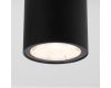 Уличный потолочный светильник Elektrostandard Light LED 4690389176562