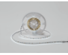Светодиодная лента Designled 2835 6000K 5м DSG2120-9.6-24-W-33 00-00037465