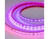 Светодиодная герметичная лента Arlight SPI-PS-B60-12mm 24V RGB-PX6-BPT (12 W/m, IP67, 5060, 5m) 039181