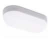 Уличный потолочный светильник Ambrella Light Street ST8662