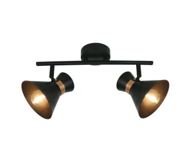 Спот Arte Lamp Baltimore A1406AP-2BK