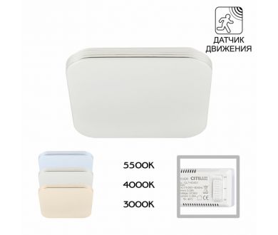 Купить Потолочный светильник Citilux Симпла CL714K24SV Потолочный светильник Citilux Симпла CL714K24SV