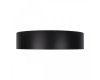 Потолочный светильник Loft IT Coin 10202 Black