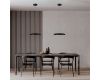 Подвесной светильник Loft IT Dime 10371P Black