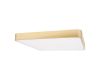 Потолочный светильник Loft IT Flims 10228/D