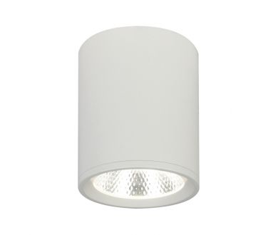Купить Потолочный светильник 20003 20003SMU/02LED SWH Потолочный светильник 20003 20003SMU/02LED SWH