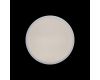 Потолочный светильник Loft IT AXEL 10002/12 White