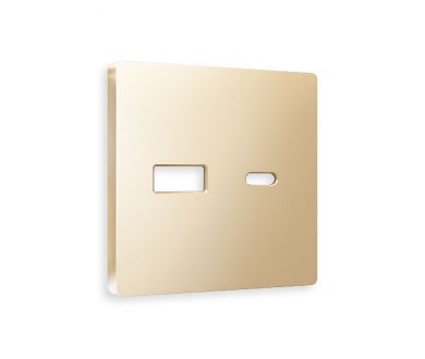 Купить Лицевая панель для розетки 2USB тип A+C Ambrella Volt Alfa AP6110 Лицевая панель для розетки 2USB тип A+C Ambrella Volt Alfa AP6110