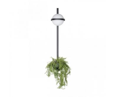 Купить Настенный светильник Loft IT Jardin 10121W/B Настенный светильник Loft IT Jardin 10121W/B