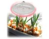 Фитолампа для растений светодиодная ЭРА E27 18W 2370K FITO-18W-RB-E27 Б0049533