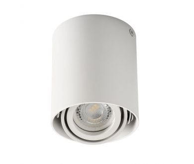 Купить Потолочный светильник Kanlux Toleo DTO50-W 26111 Потолочный светильник Kanlux Toleo DTO50-W 26111