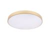 Потолочный светильник Loft IT Flims 10228/B