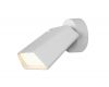 Спот iLedex Crunk W1031 WH