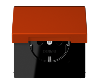 Купить Розетка 2K+З с крышкой Jung LC1520BFKL244 Розетка 2K+З с крышкой Jung LC1520BFKL244