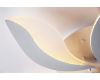 Потолочная светодиодная люстра Escada 10214/SG (60W)