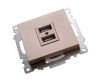 Розетка USB 2-местная Stekker Катрин 39602