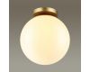 Потолочный светильник Odeon Light 4248/1C