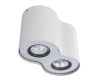 Потолочный светильник Arte Lamp Falcon A5633PL-2WH