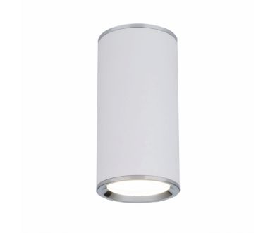 Купить Потолочный светильник Elektrostandard DLN101 GU10 WH белый 4690389135859 Потолочный светильник Elektrostandard DLN101 GU10 WH белый 4690389135859