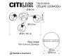 Потолочная люстра Citilux Tika CL133130