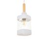 Подвесной светильник MyFar Olivia MR1830-1P