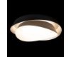 Потолочный светильник Loft IT Petale 10256 Black